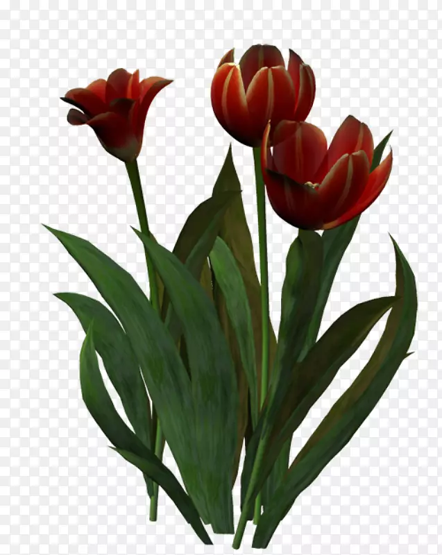 �������л��廨����-������-������