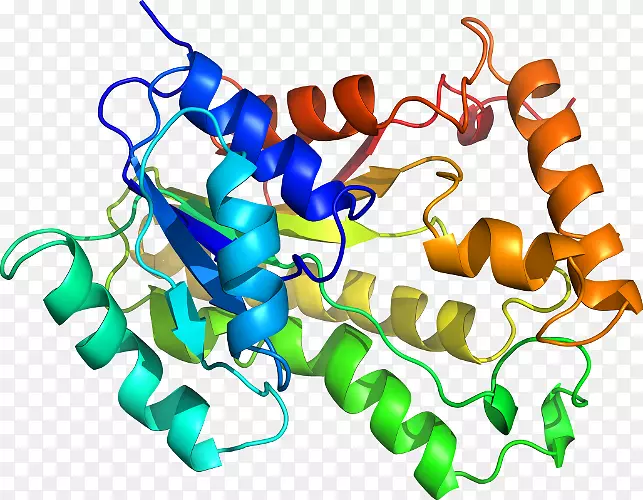 �ߵ������������-������