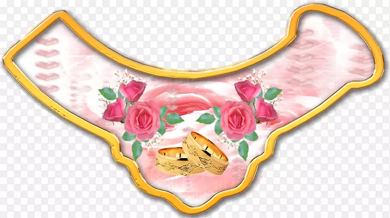 ʳ���°ͼ�����-������