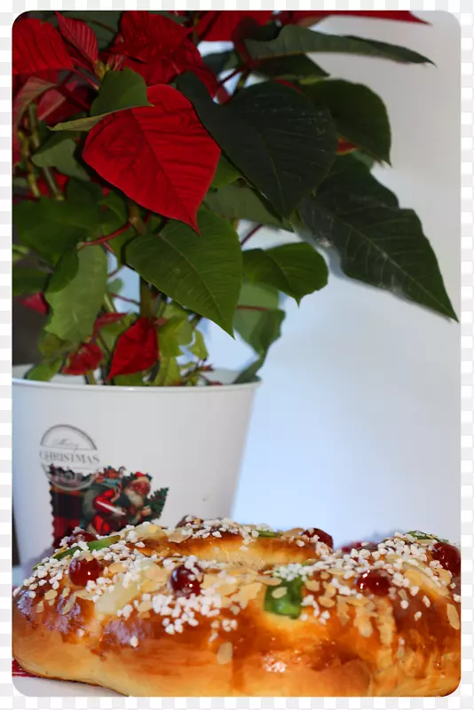 ��������ʳ�ײ�ݮ-������