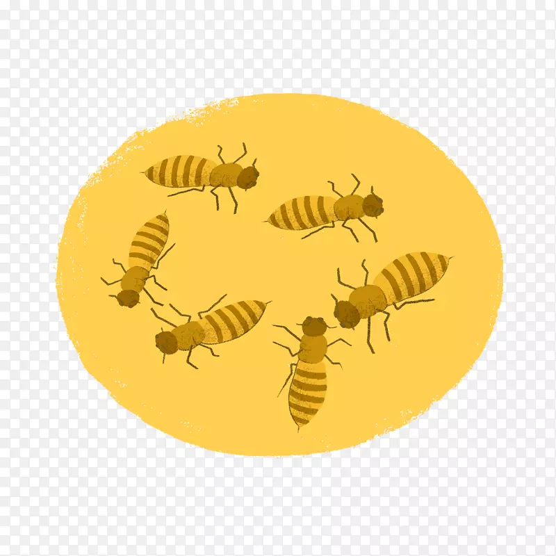 �۷�-������