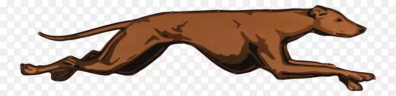 ����èҰ�����ﹷ-������