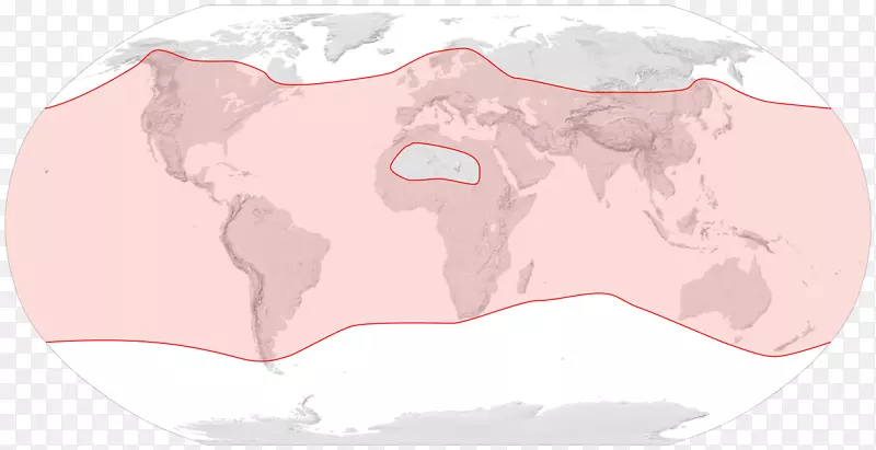 �����۷䡢�Ʒ䡢Ĥ��Ŀ-����-������