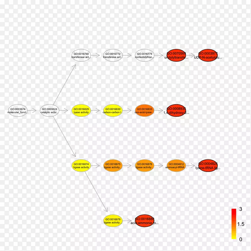 ֱ�ߵ���-������