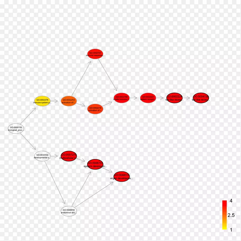 ֱ�ߵ����-������