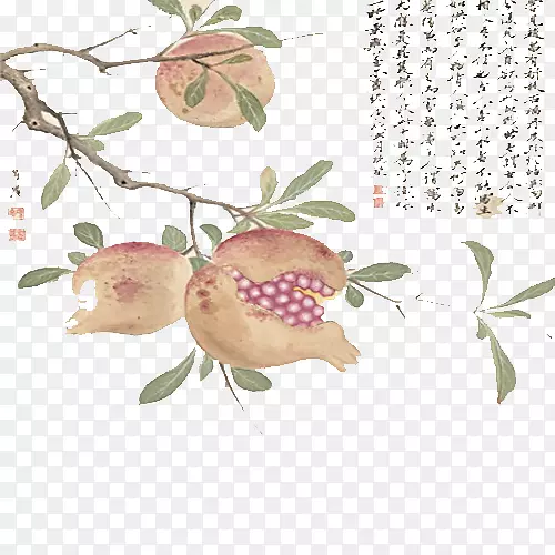 ʯ��ˮī������������ʯ��-������