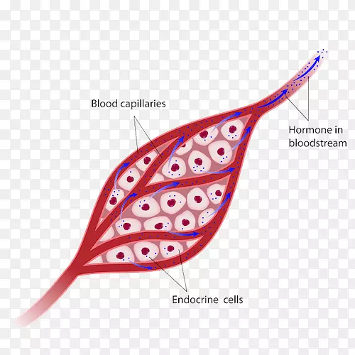 �ڷ������ڷ���ϵͳ��������-������