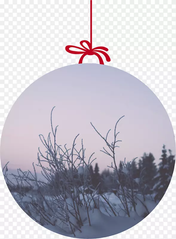 ʥ������ʥ����װ�Σ���֦��������ʥ����-������