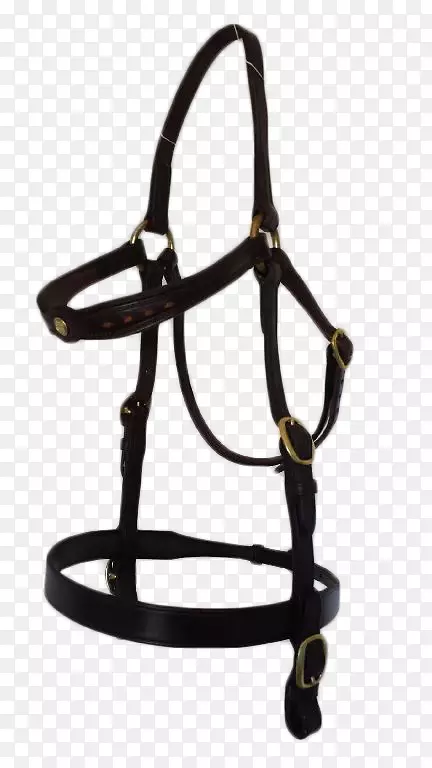 �����������������ͷ������-������