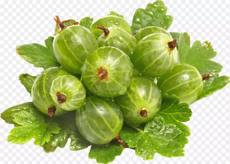 ����ˮ����ʳ��ʳ�¸���˹�߲�-������