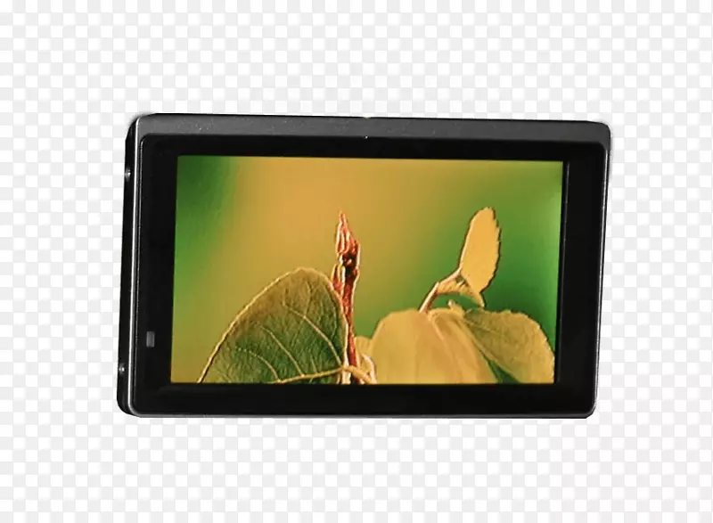 ������Ƶ��ý�嶨�Ƴ���������Գ�-������