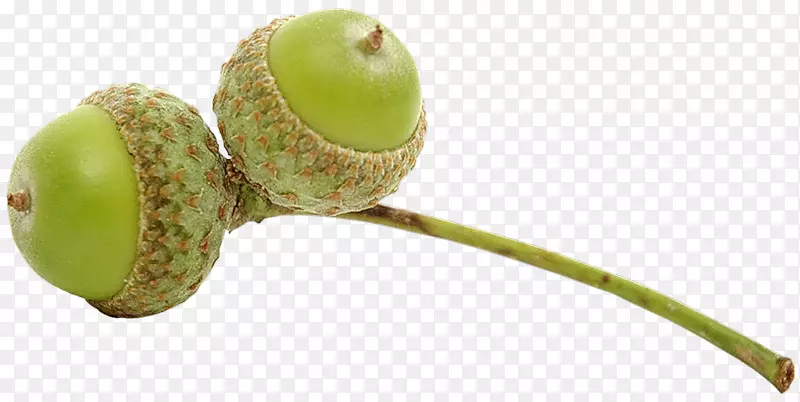 �˽����ӹ�-������