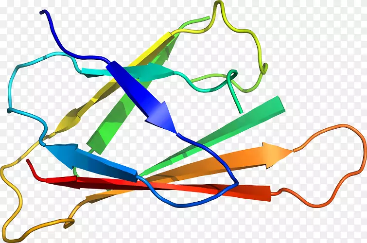 �ߵ������-��-������