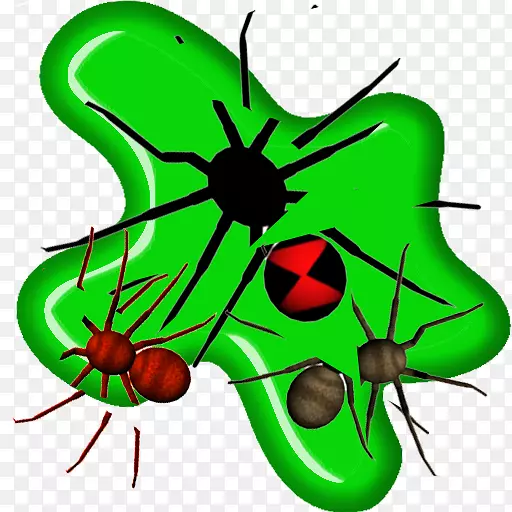 ����Ҷ��������-����-������