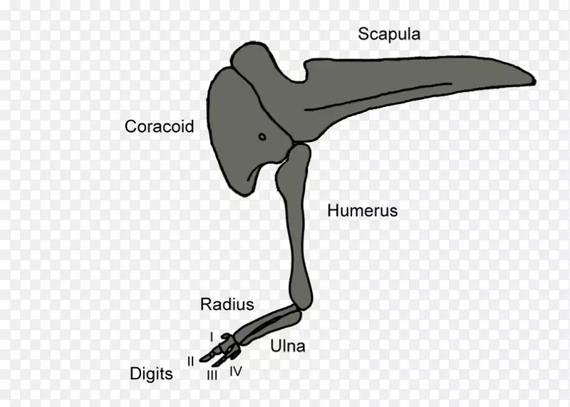 ��๲�ͼ���-������