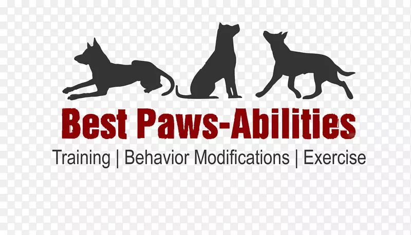 Ȯ�ְĴ���������Ȯѵ���������צ��-����-������