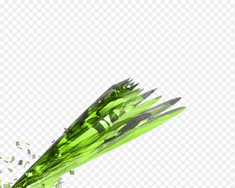 ����������ʿ��-������