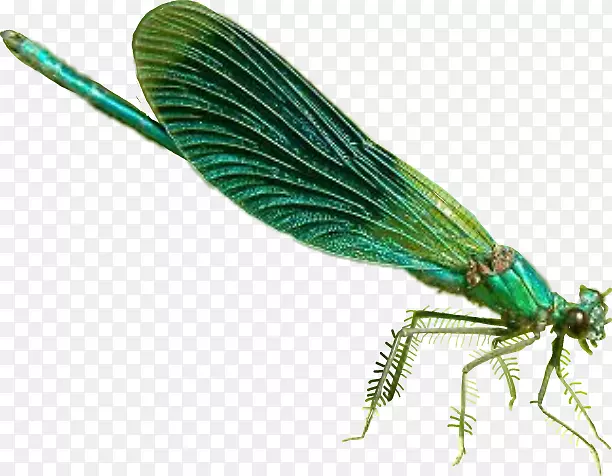 ��������������-������