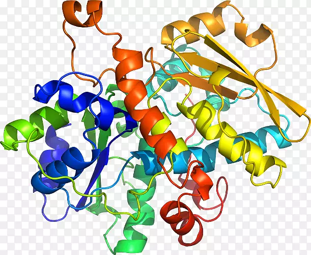 ���������л����߼�������-������