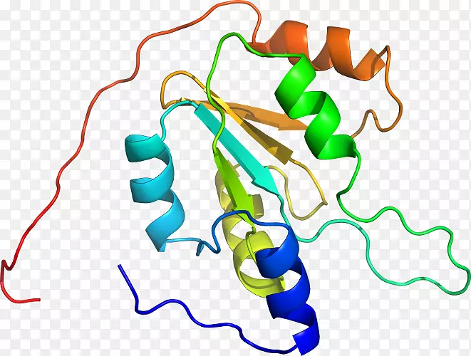 �ߵ������������-������