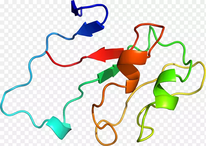 �ߵ������-��-������