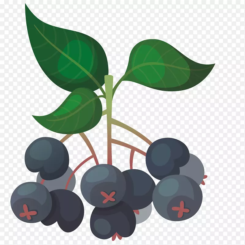 ��÷��ʵ-��ݮ��ʵ-������