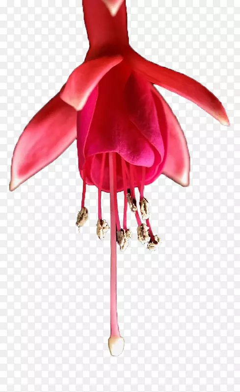 ʯ�����ͼ��ʯ��-������