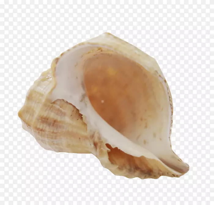 ���Ͷ��������-������