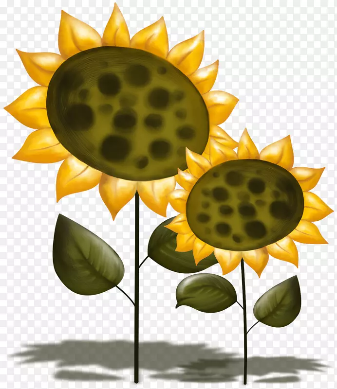 ����ֲ�ﾥ������-��-������