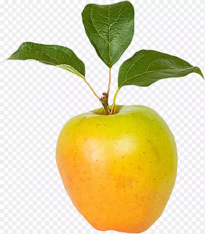 ��������ȻʳƷ����ƻ��-������