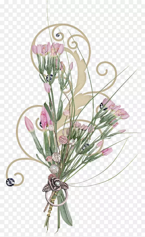 ��������л�����ֲ�ﾥ��-������