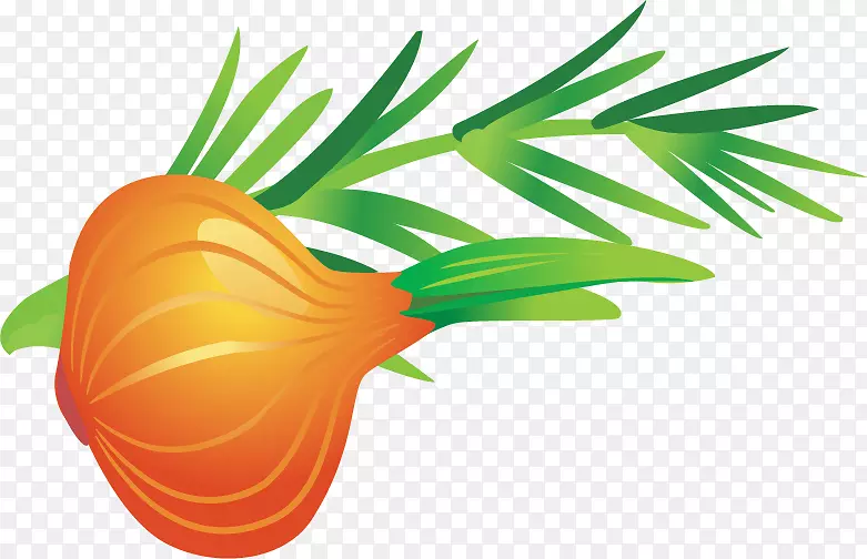 Adobe�廭������-����PNG�������-������