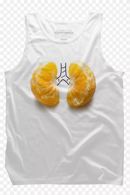 t��������װt��-������