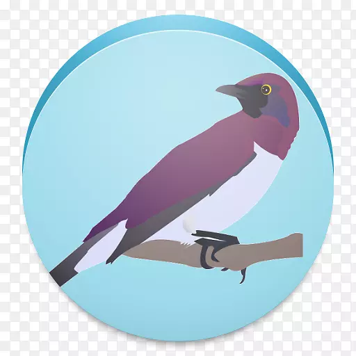 ���������-��-������