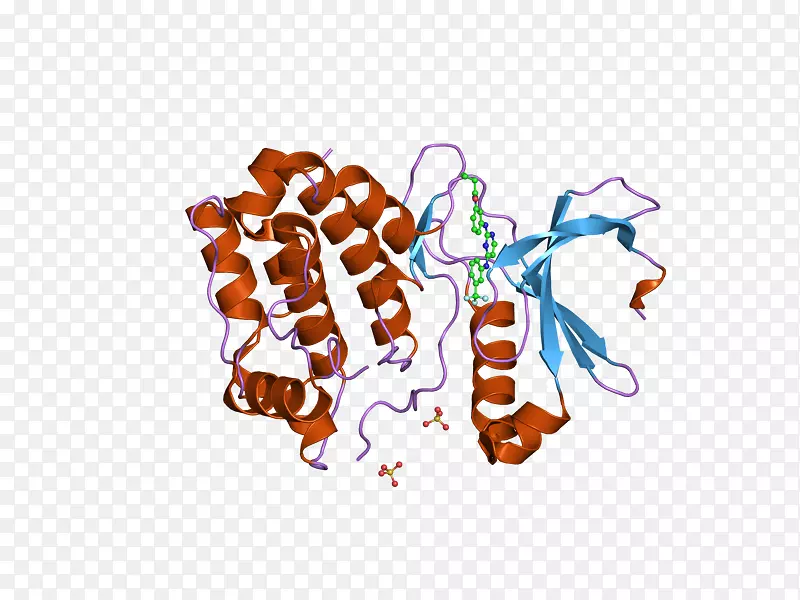 ʳ�������-������