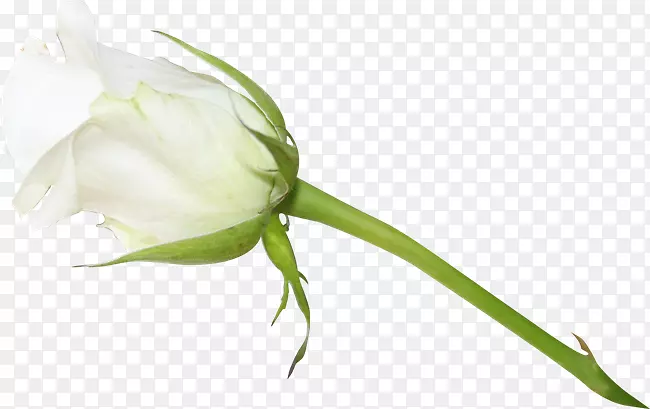 õ�廨��Ǿޱ��������-������