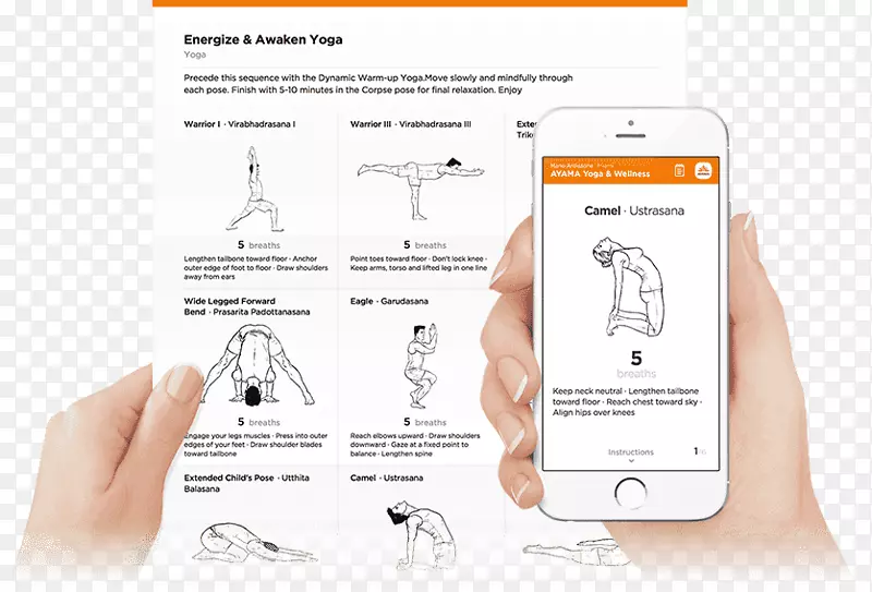 Ʒ�Ʒ�����ָ����.����-������