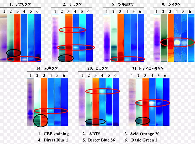 ƽ����������������-������