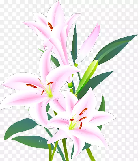 �ٺϻ�����л�Ҷ�ٺ�-������