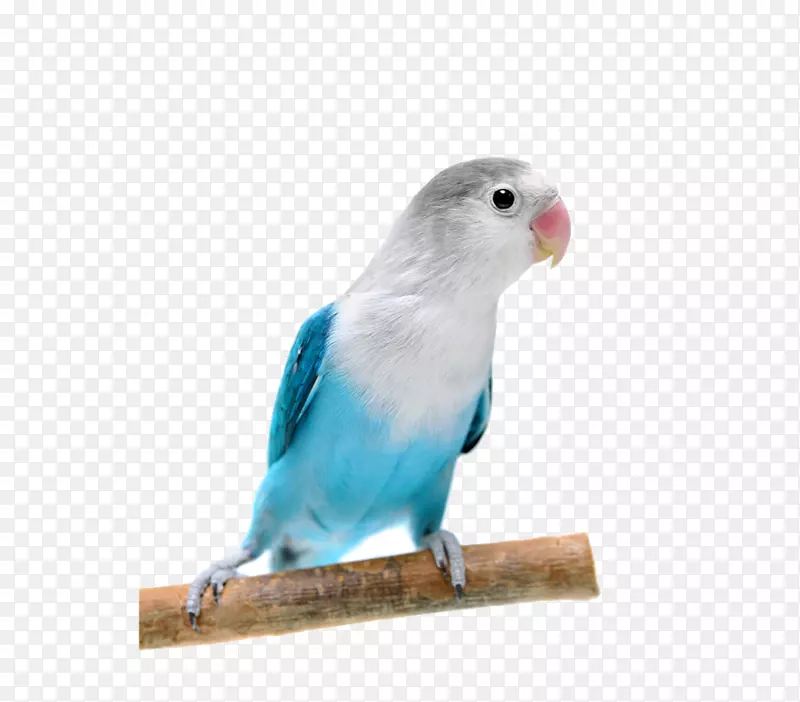 �����������찮���������������-������