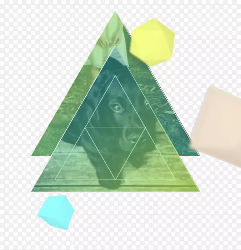 �����������-�����θ���Ԫ��-������