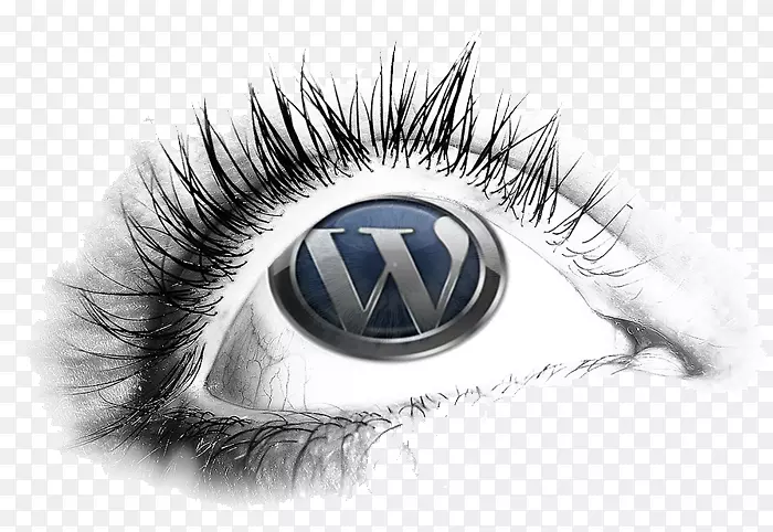 WordPress�������ݹ���ϵͳ����-WordPress-������