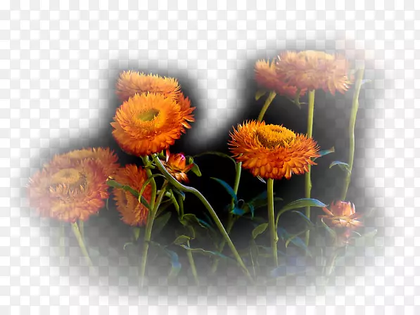 �������.���-������