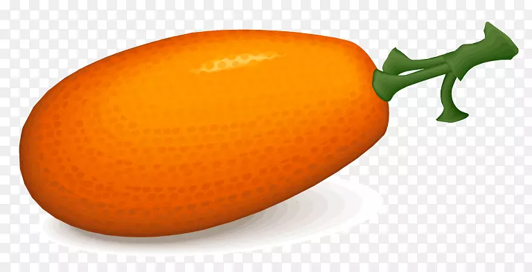 ��ϼ�����-����-������