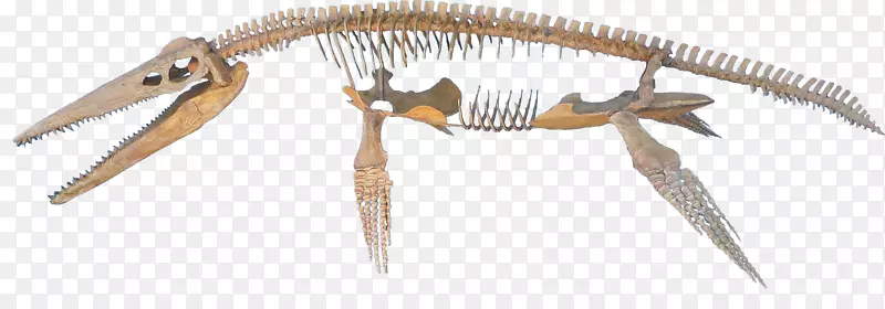 ๶���-����-������