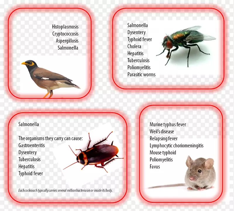 ������Ƽ�������-����-������