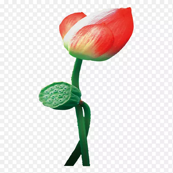 ������ԡ-������