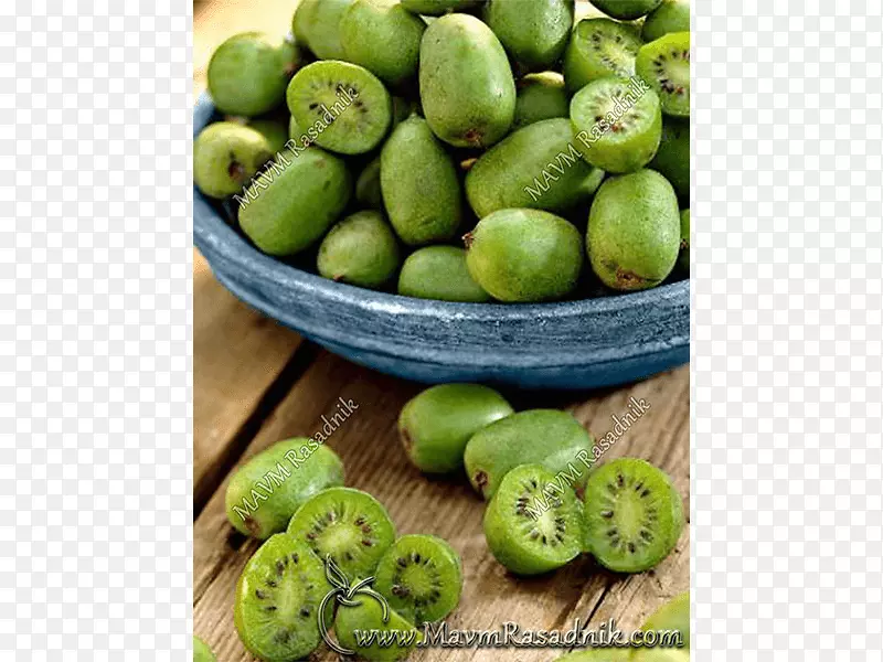 ⨺���-������