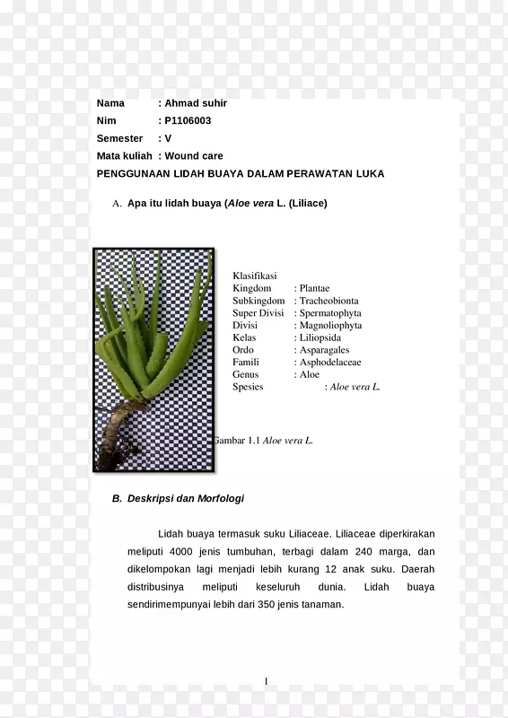 ���ֲ�-���-������