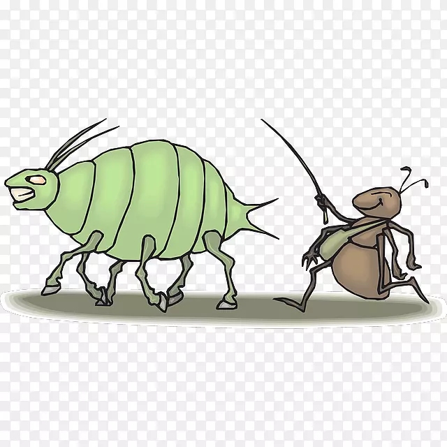 ������������-������